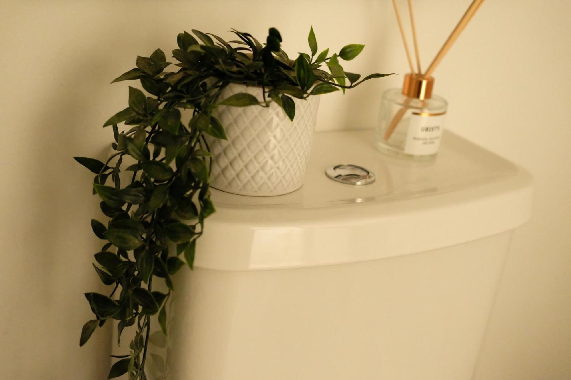 Spacious City Centre Apartment Bath Extérieur photo